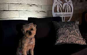 Indian Wells Desert Oasis - Indian Wells, California