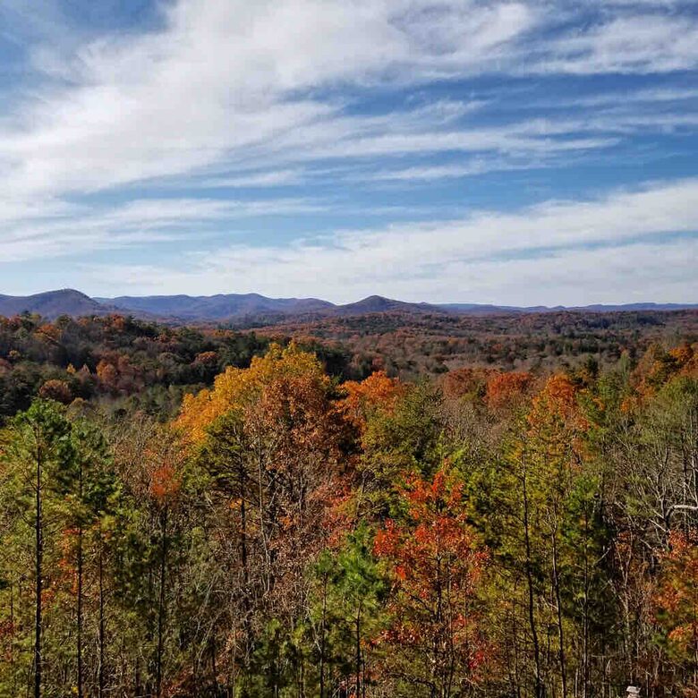 Scenic Georgia Cabin Minutes From Downtown Blue Ridge - Blue Ridge, Georgia