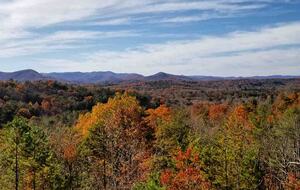 Scenic Georgia Cabin Minutes From Downtown Blue Ridge - Blue Ridge, Georgia