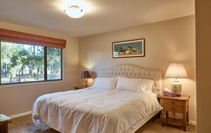 Howell Mountain Vineyard Retreat - Angwin, California