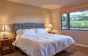 Howell Mountain Vineyard Retreat - Angwin, California