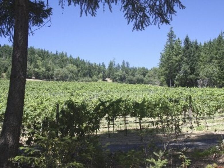Howell Mountain Vineyard Retreat - Angwin, California