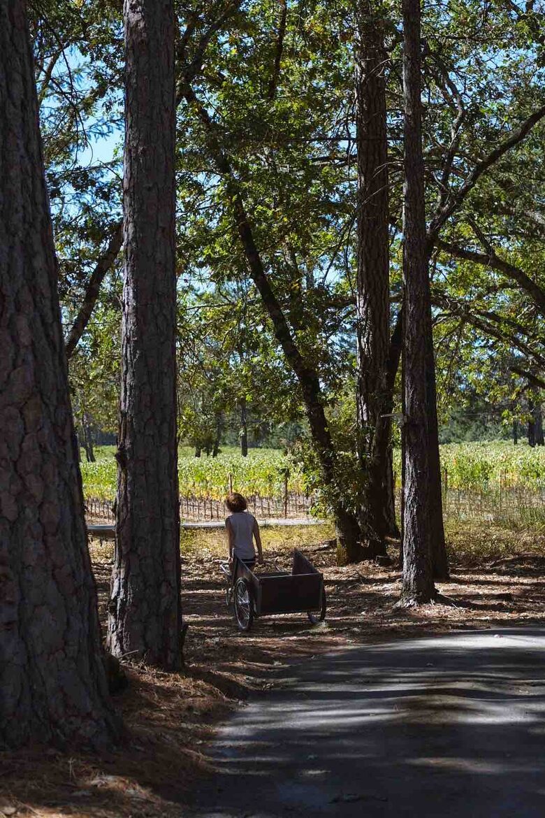 Howell Mountain Vineyard Retreat - Angwin, California