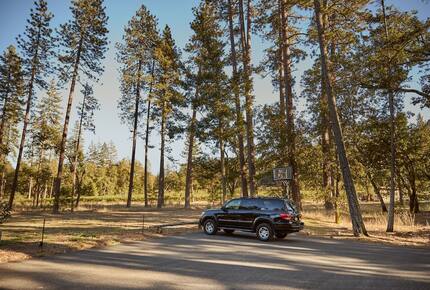 Howell Mountain Vineyard Retreat - Angwin, California