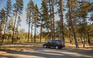 Howell Mountain Vineyard Retreat - Angwin, California