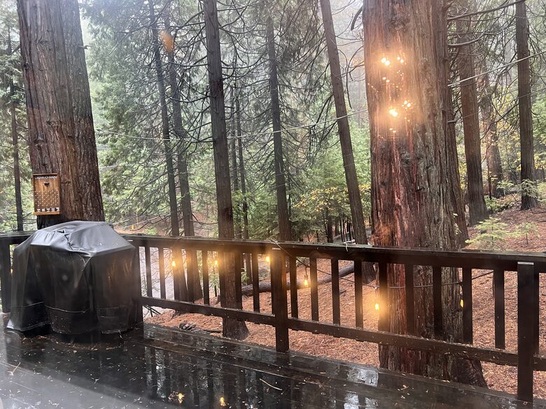 Rustic Mountain Retreat Near Lakes and Ski Slopes - Arnold, California