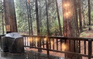 Rustic Mountain Retreat Near Lakes and Ski Slopes - Arnold, California