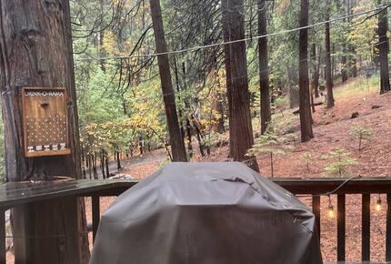 Rustic Mountain Retreat Near Lakes and Ski Slopes - Arnold, California