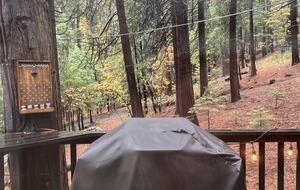 Rustic Mountain Retreat Near Lakes and Ski Slopes - Arnold, California