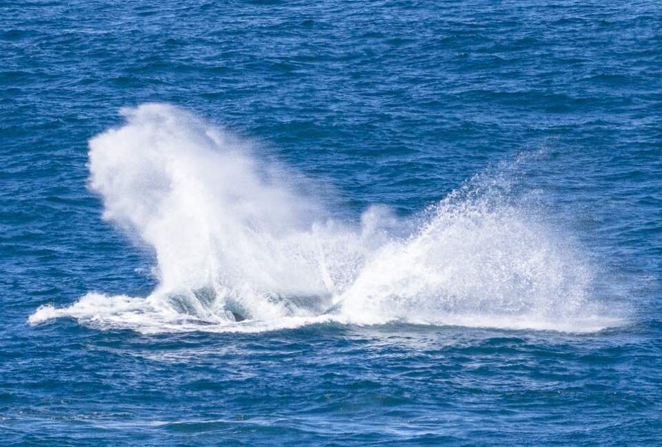 RROAR - Luxury Living on the Rocks - Herolds Bay, South Africa