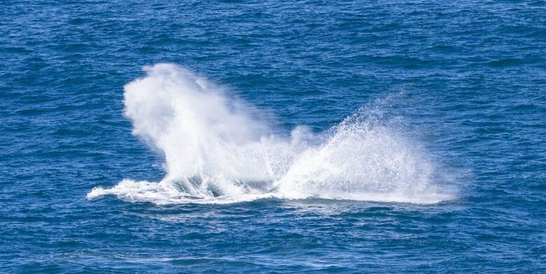 RROAR - Luxury Living on the Rocks - Herolds Bay, South Africa