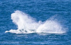 RROAR - Luxury Living on the Rocks - Herolds Bay, South Africa