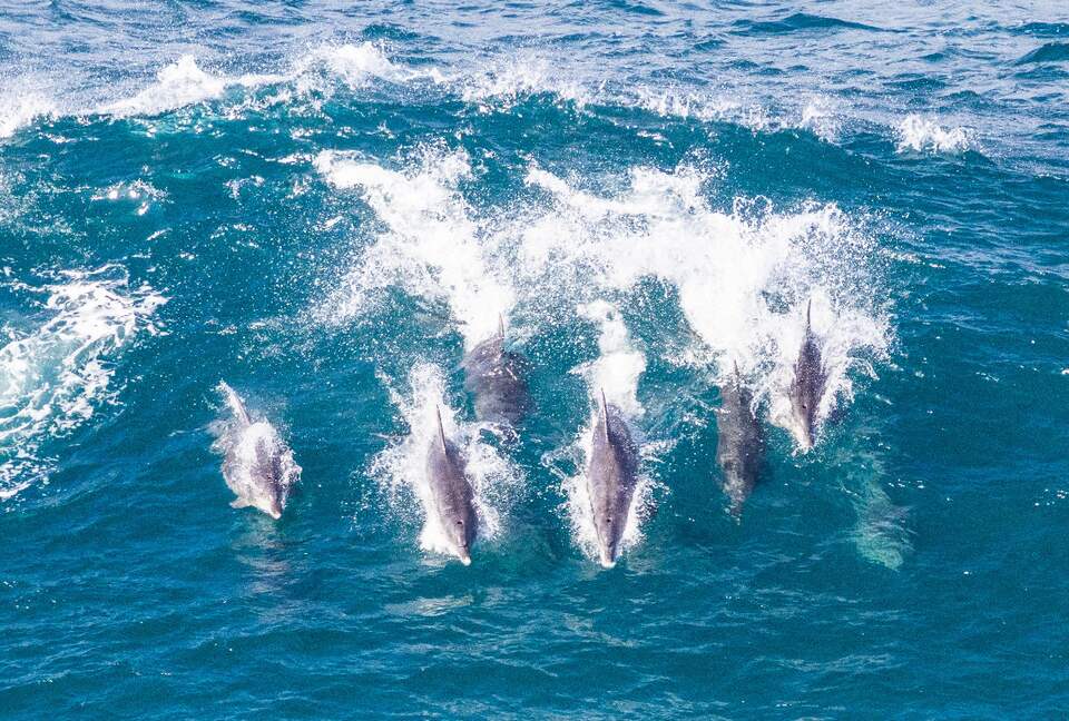 RROAR - Luxury Living on the Rocks - Herolds Bay, South Africa