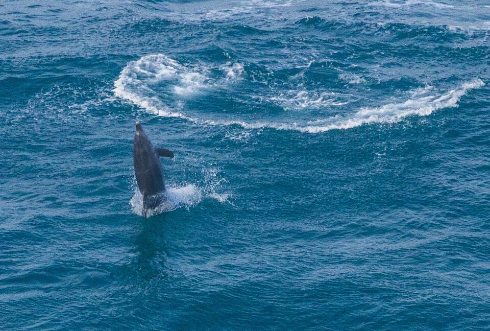 RROAR - Luxury Living on the Rocks - Herolds Bay, South Africa