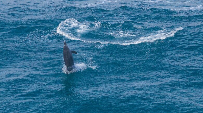 RROAR - Luxury Living on the Rocks - Herolds Bay, South Africa