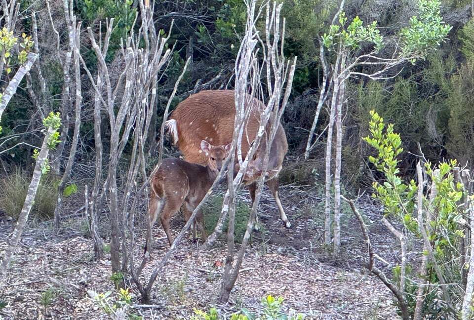 RROAR - Luxury Living on the Rocks - Herolds Bay, South Africa