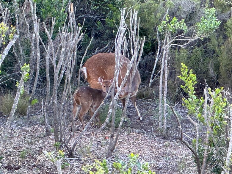 RROAR - Luxury Living on the Rocks - Herolds Bay, South Africa
