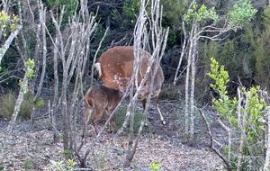 RROAR - Luxury Living on the Rocks - Herolds Bay, South Africa