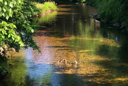 The Grist Mill House on Williams River - Chester, Vermont
