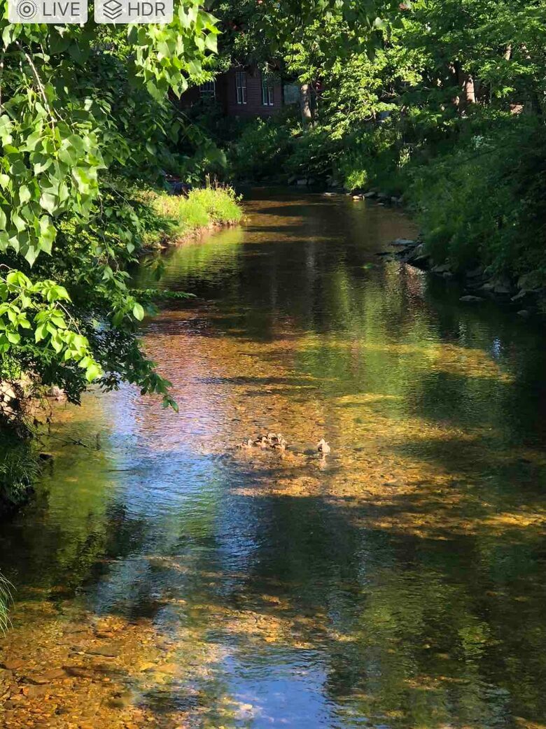 The Grist Mill House on Williams River - Chester, Vermont