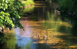 The Grist Mill House on Williams River - Chester, Vermont