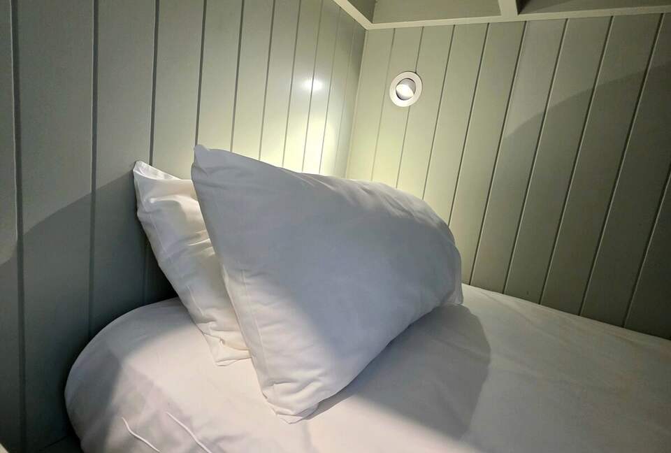 Designer Beach House Steps from Cylinder Beach - Point Lookout, Australia