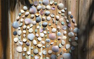 Designer Beach House Steps from Cylinder Beach - Point Lookout, Australia