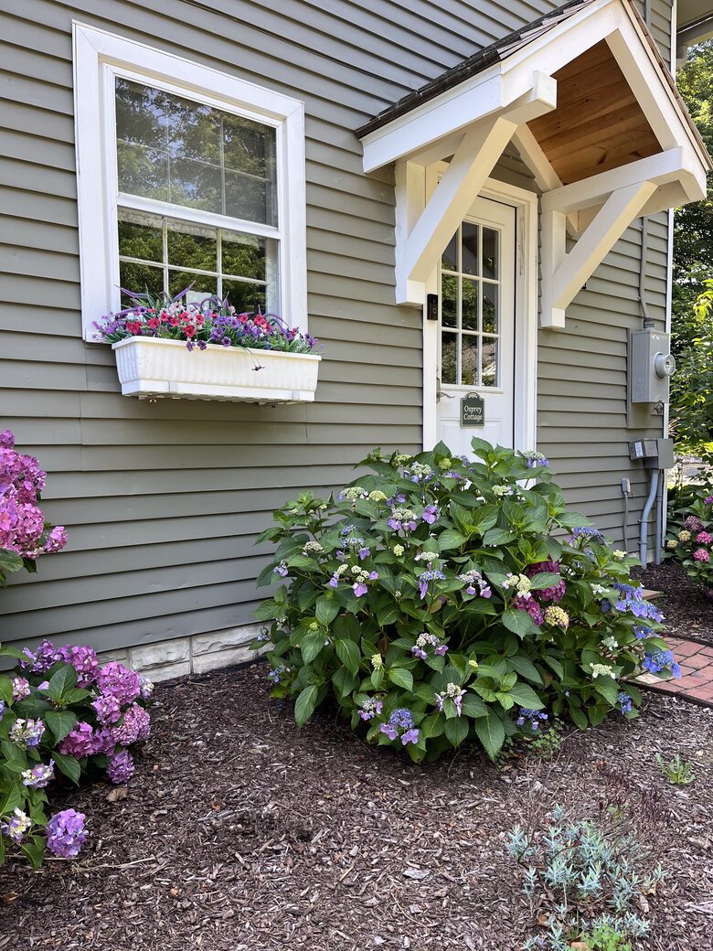 Welcome to Osprey Cottage