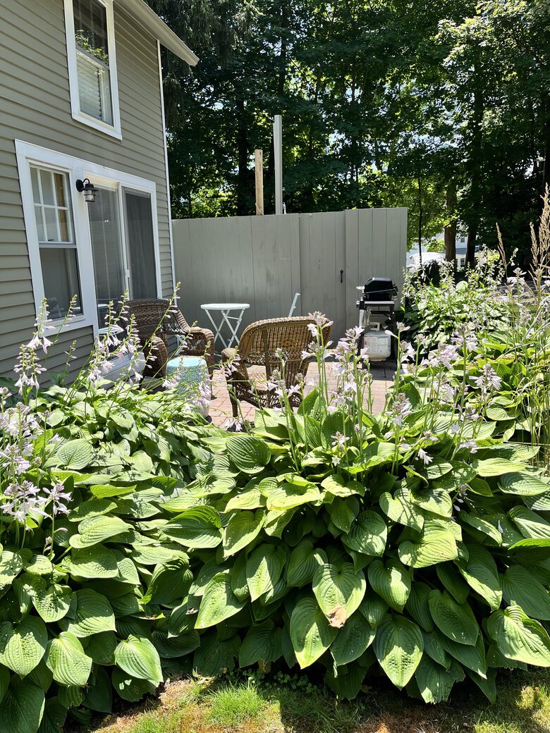 Wonderful back patio with grill and outdoor shower