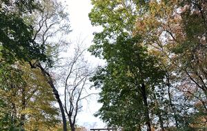 Adorable New England Beach Cottage on the Connecticut Shoreline - Westbrook, Connecticut
