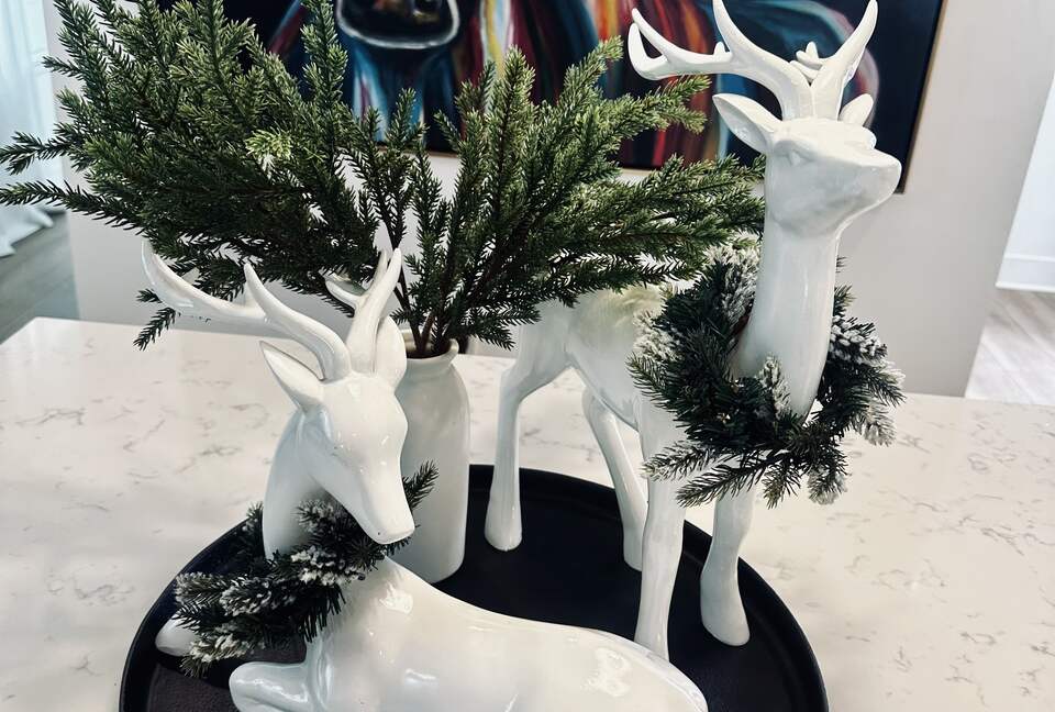 Stylish Hill Country Home in New Braunfels - New Braunfels, Texas