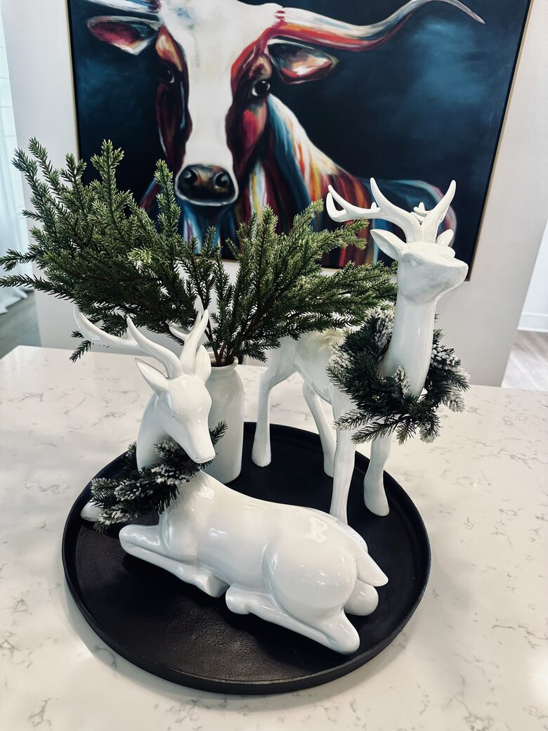 Stylish Hill Country Home in New Braunfels - New Braunfels, Texas