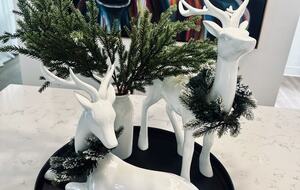 Stylish Hill Country Home in New Braunfels - New Braunfels, Texas