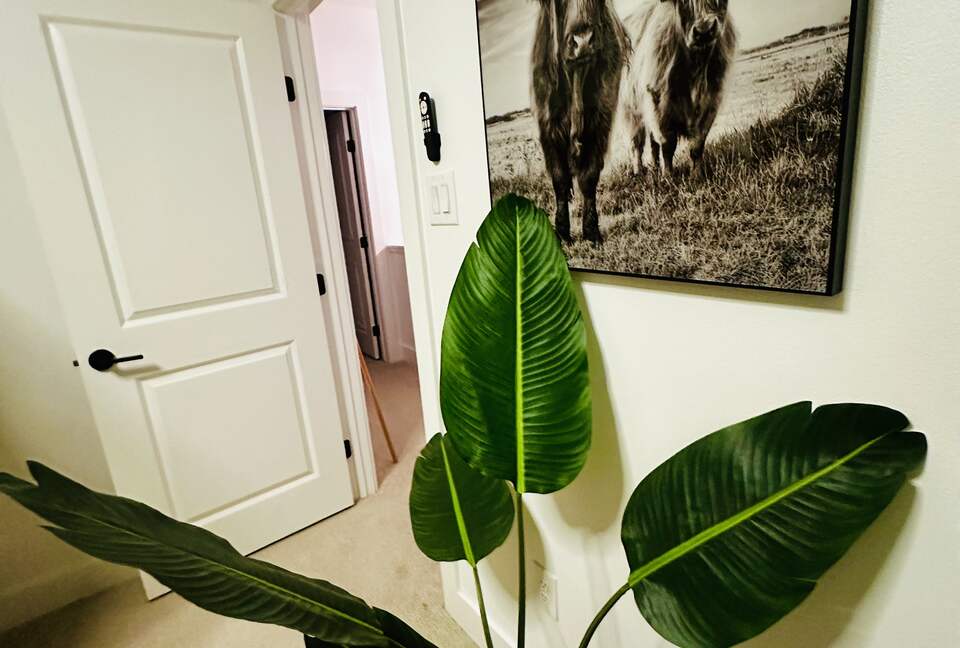 Stylish Hill Country Home in New Braunfels - New Braunfels, Texas