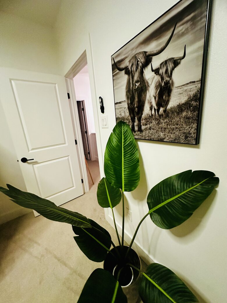 Stylish Hill Country Home in New Braunfels - New Braunfels, Texas