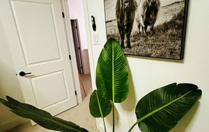 Stylish Hill Country Home in New Braunfels - New Braunfels, Texas