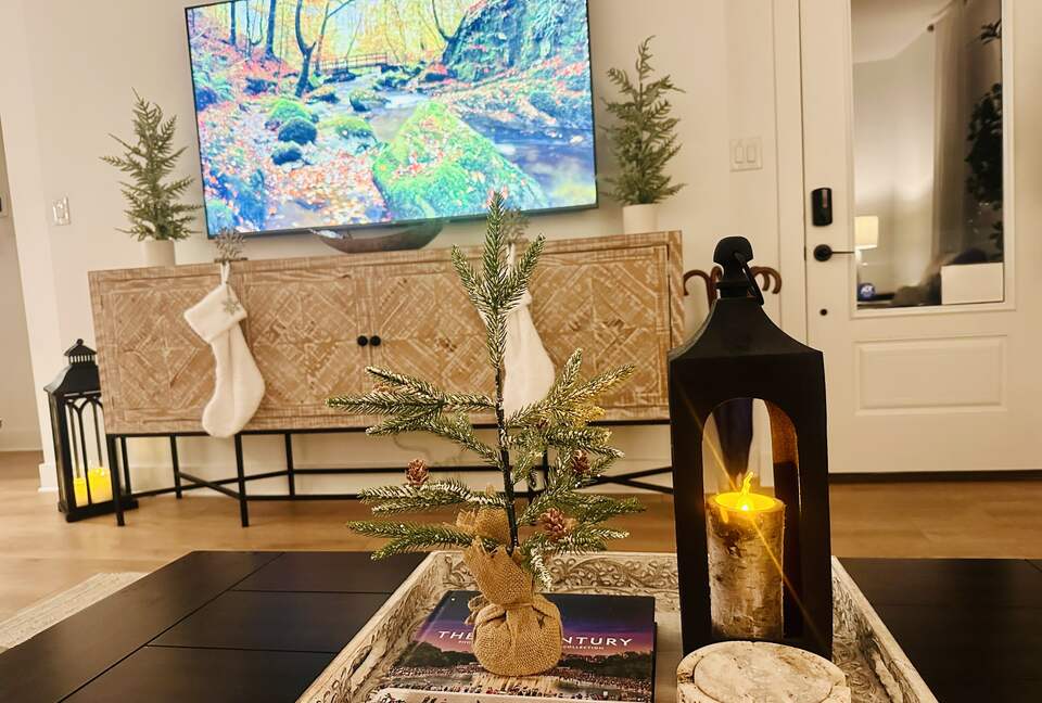 Stylish Hill Country Home in New Braunfels - New Braunfels, Texas