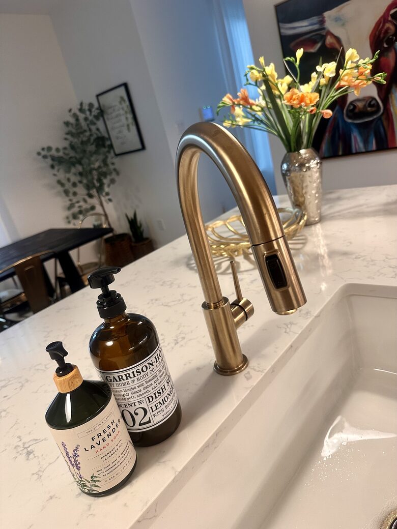 Stylish Hill Country Home in New Braunfels - New Braunfels, Texas