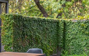 Beautifully elevated and astonishingly stylish Adelaide Home - Adelaide, Australia