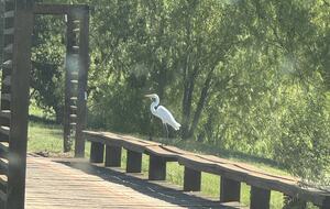 Modern Waterfront Lake House | Carmelo Golf - Carmelo, Uruguay