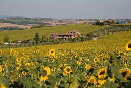 Elegant Apartment at the Fontegirasole Estate - Paciano, Italy