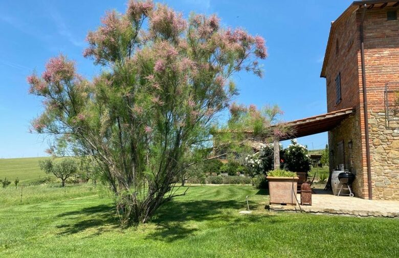 Elegant Apartment at the Fontegirasole Estate - Paciano, Italy