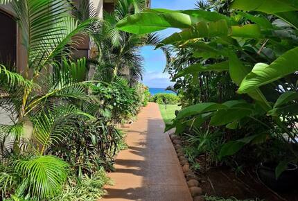 Breezy Shoreline Retreat on West Maui - Lahaina, Hawaii