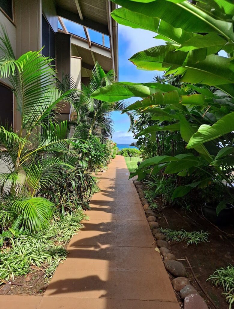 Breezy Shoreline Retreat on West Maui - Lahaina, Hawaii