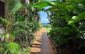 Breezy Shoreline Retreat on West Maui - Lahaina, Hawaii