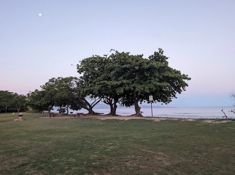 Breezy Shoreline Retreat on West Maui - Lahaina, Hawaii