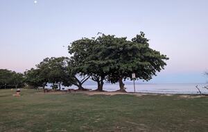 Breezy Shoreline Retreat on West Maui - Lahaina, Hawaii