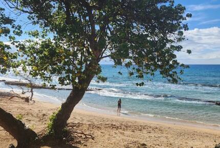 Breezy Shoreline Retreat on West Maui - Lahaina, Hawaii