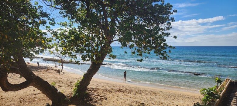 Breezy Shoreline Retreat on West Maui - Lahaina, Hawaii