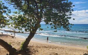Breezy Shoreline Retreat on West Maui - Lahaina, Hawaii